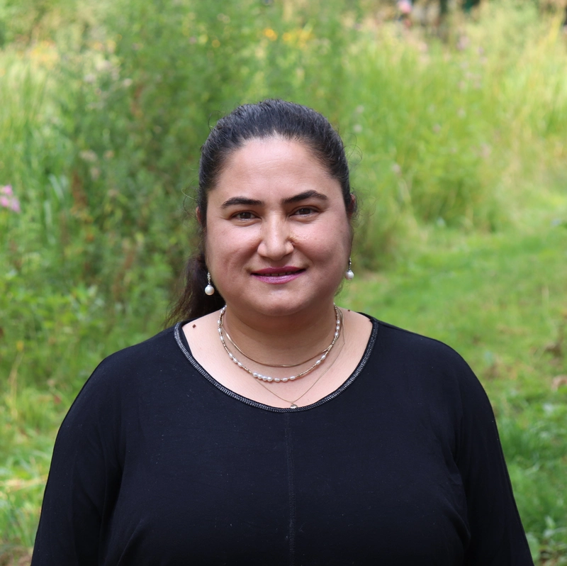 Hanifa